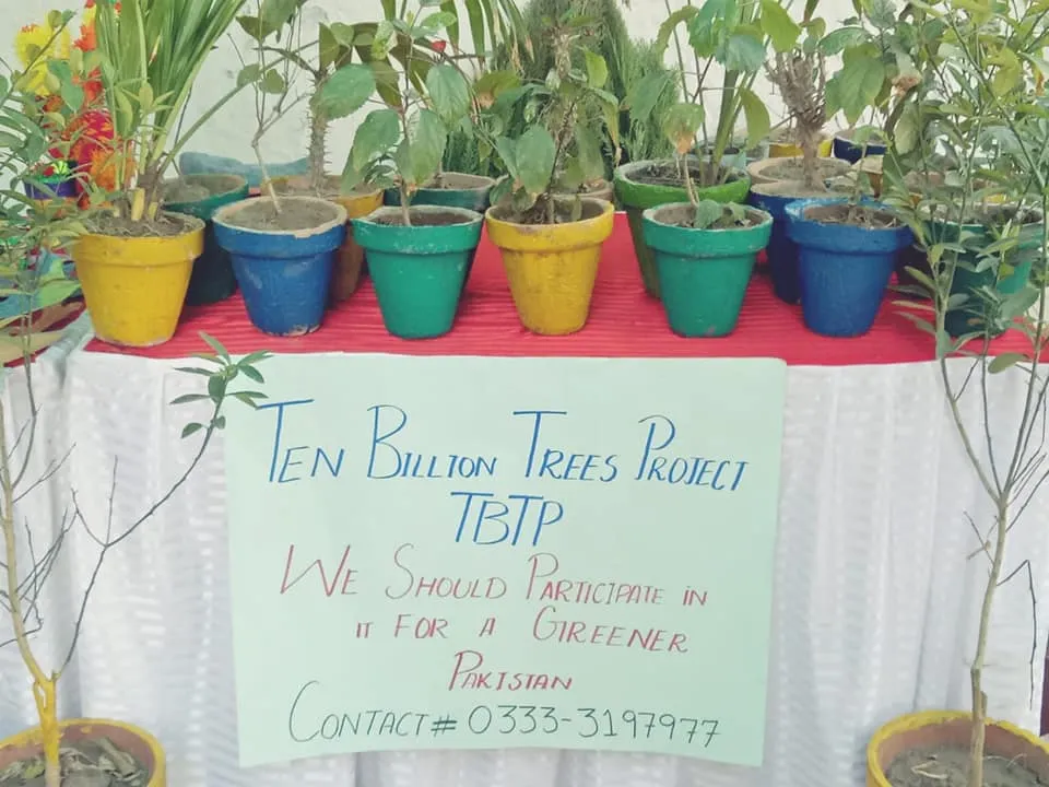 Green Seekers Activity